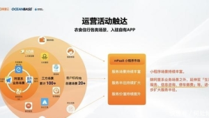 自有物流小程序制作，塑造个性化物流体验