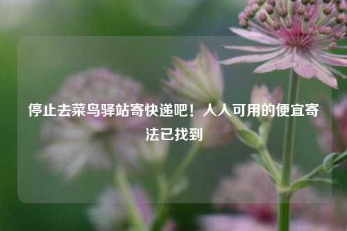 停止去菜鸟驿站寄快递吧！人人可用的便宜寄法已找到
