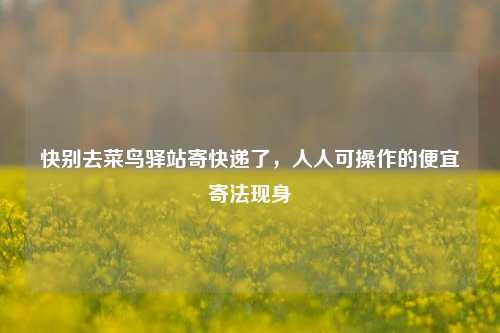快别去菜鸟驿站寄快递了，人人可操作的便宜寄法现身