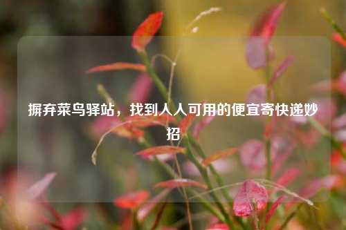 摒弃菜鸟驿站，找到人人可用的便宜寄快递妙招