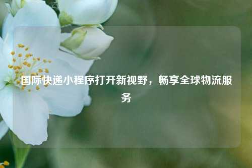 国际快递小程序打开新视野，畅享全球物流服务