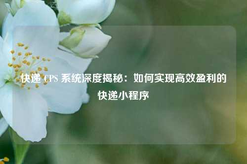 快递 CPS 系统深度揭秘：如何实现高效盈利的快递小程序