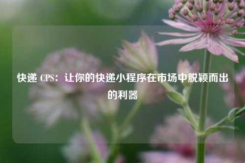 快递 CPS：让你的快递小程序在市场中脱颖而出的利器