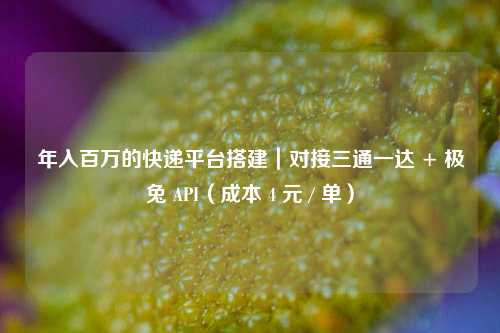年入百万的快递平台搭建｜对接三通一达 + 极兔 API（成本 4 元 / 单）