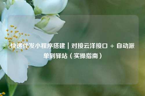 快递代发小程序搭建｜对接云洋接口 + 自动派单到驿站（实操指南）