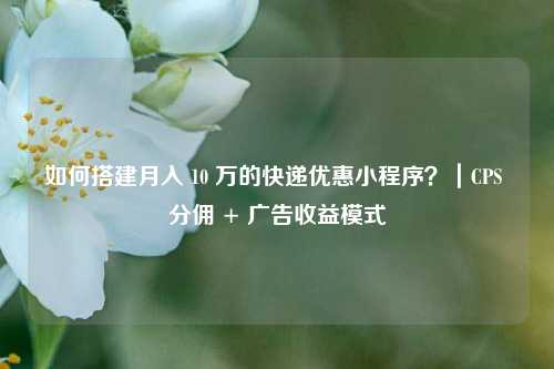 如何搭建月入 10 万的快递优惠小程序？｜CPS 分佣 + 广告收益模式