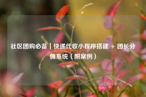 社区团购必备｜快递代收小程序搭建 + 团长分佣系统（附案例）
