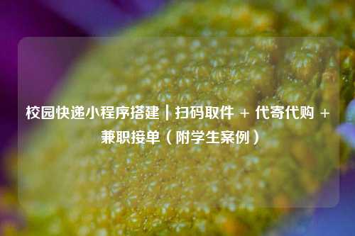 校园快递小程序搭建｜扫码取件 + 代寄代购 + 兼职接单（附学生案例）
