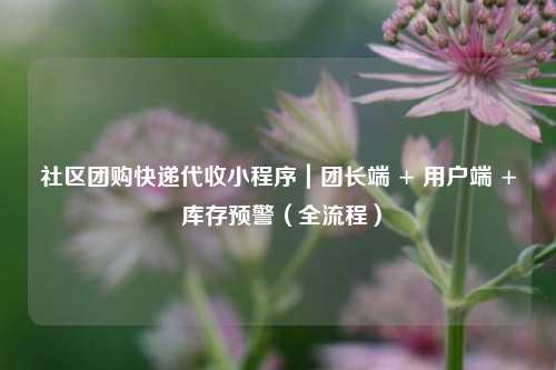 社区团购快递代收小程序｜团长端 + 用户端 + 库存预警（全流程）